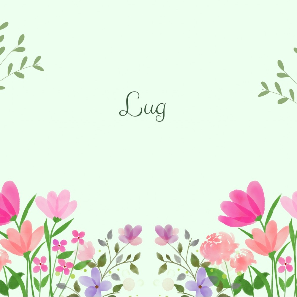 Lug Bags & Accessories